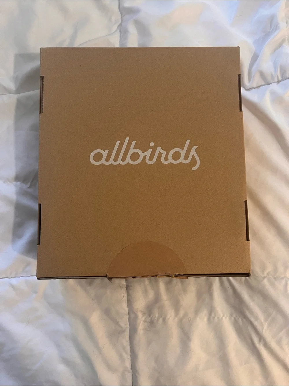 allbirds sleek low